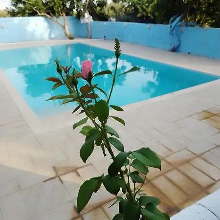 Casa Nell'agrumeto Con Piscina Apartment